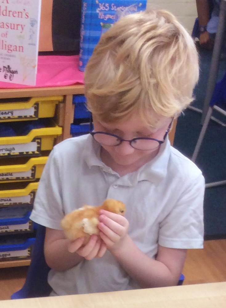 Miles in Foxes class (Yr2) getting to meet our visitors.